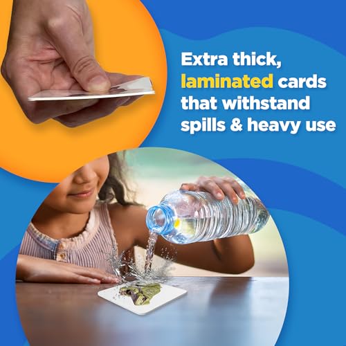 Picture Play Language Learning Cards