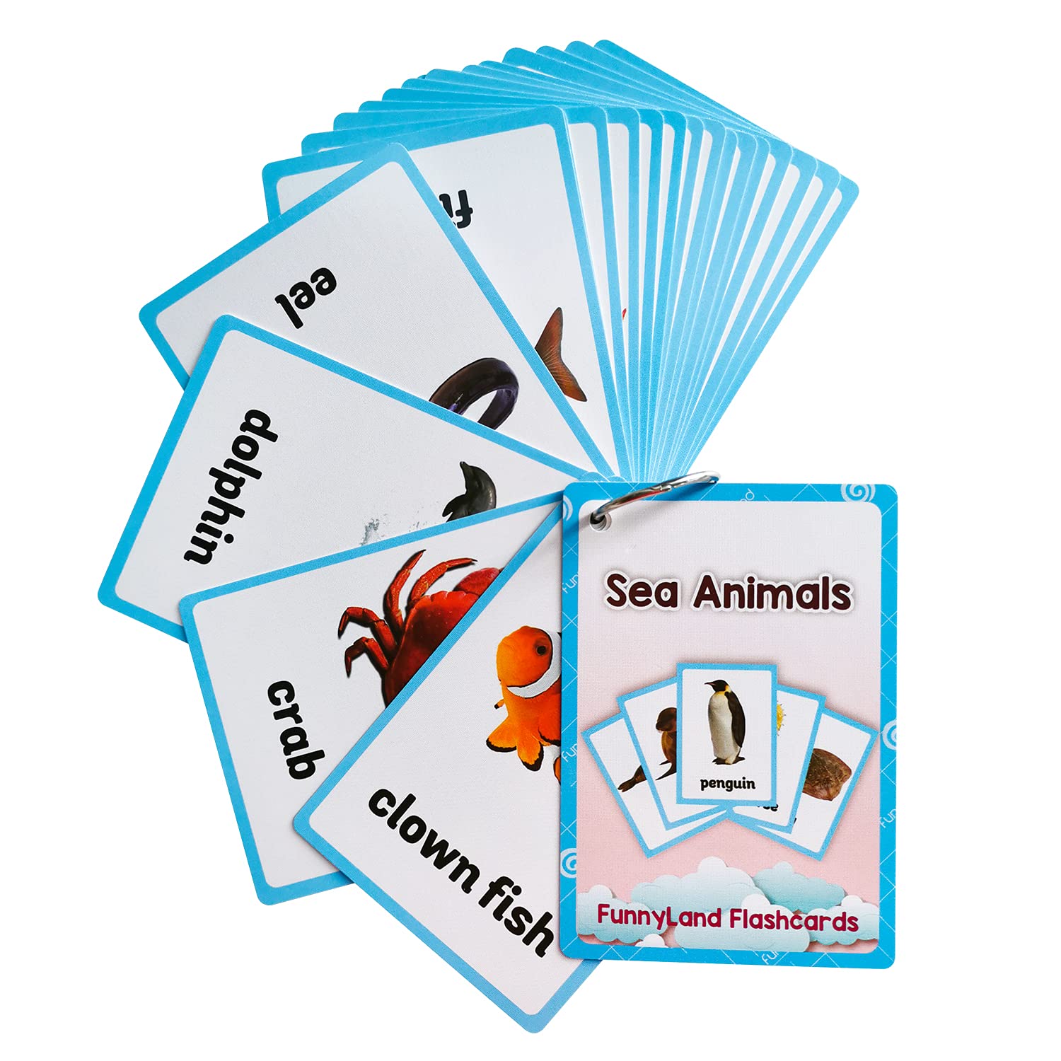 English Flash Cards, English Words Learning, Preschool Homeschool Supplies, Learning Supplies for Kindergarten