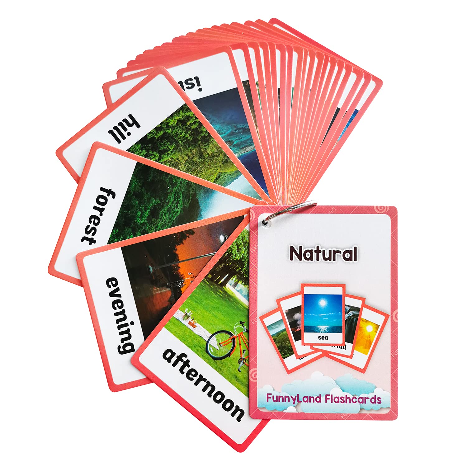 English Flash Cards, English Words Learning, Preschool Homeschool Supplies, Learning Supplies for Kindergarten