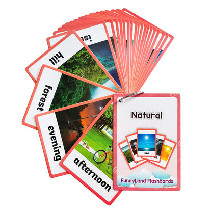 English Word Flash Cards Preschool Learning Set