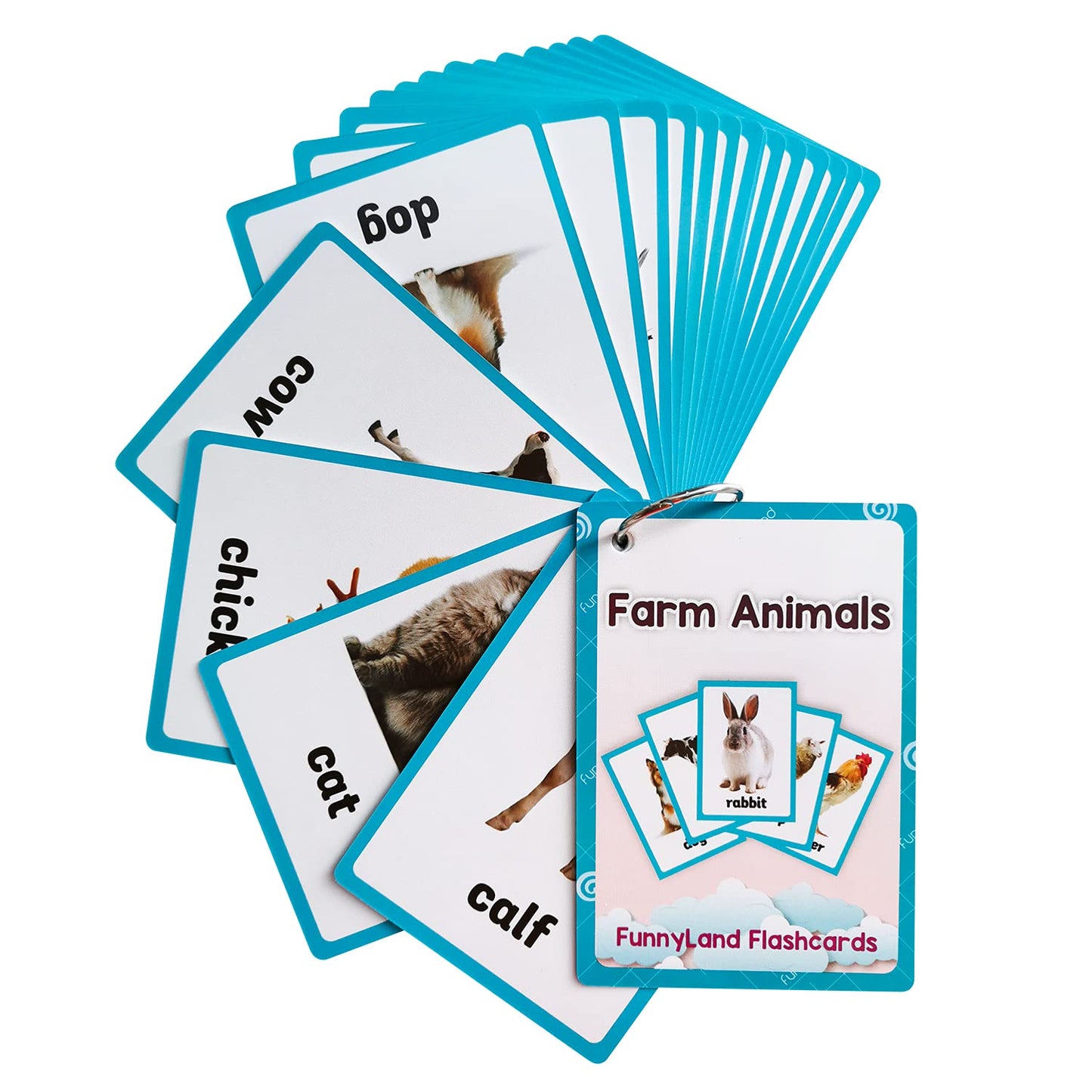 English Word Flash Cards Preschool Learning Set