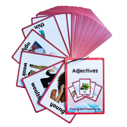 English Word Flash Cards Preschool Learning Set