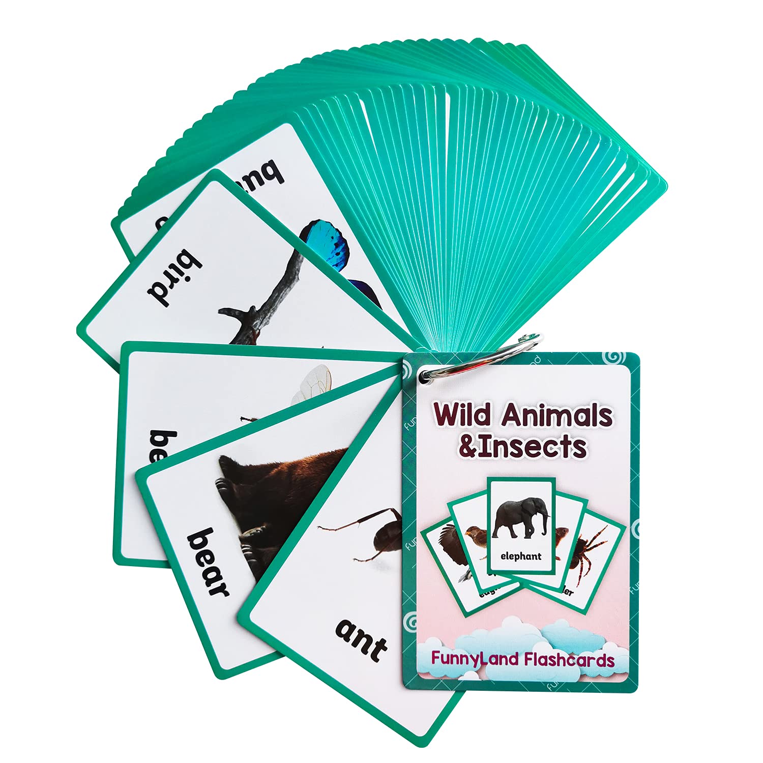 English Flash Cards, English Words Learning, Preschool Homeschool Supplies, Learning Supplies for Kindergarten