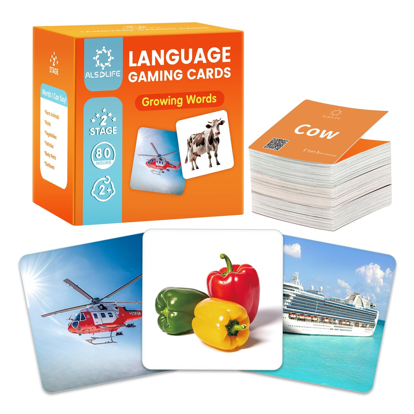 First Words Noun Flash Cards Toddler Speech Learning