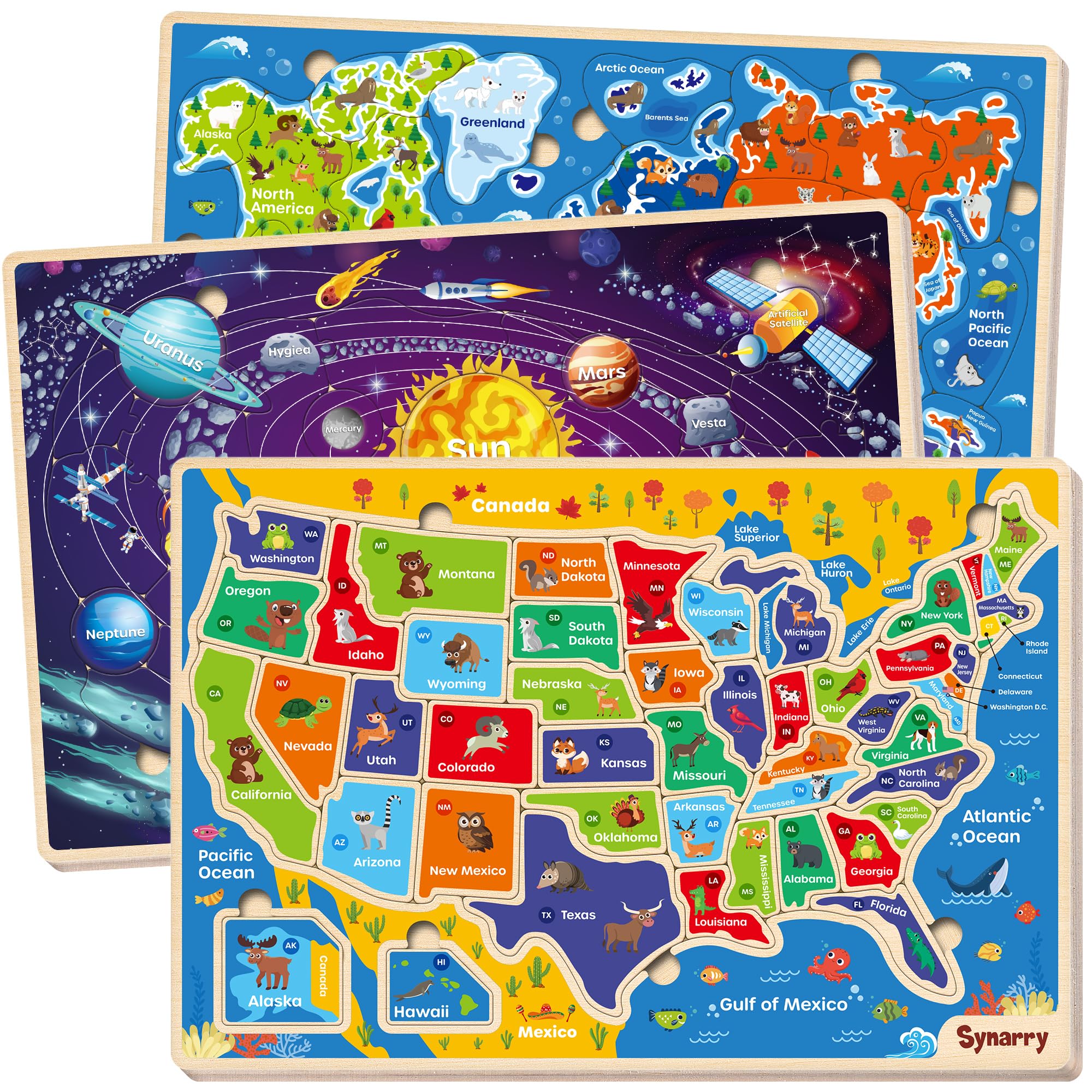 SYNARRY Educatinal Puzzles
