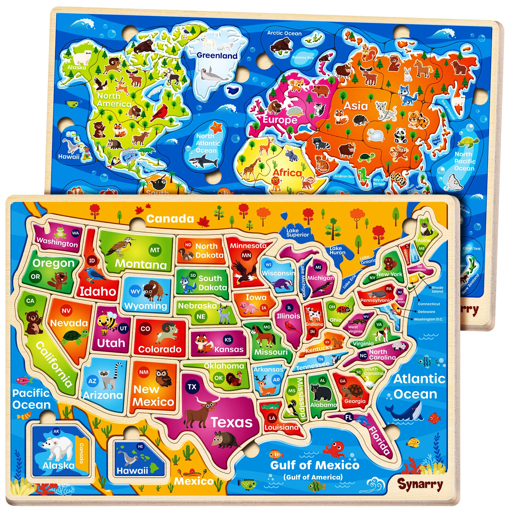SYNARRY Educatinal Puzzles