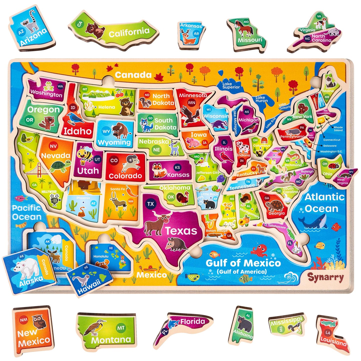 SYNARRY Educatinal Puzzles