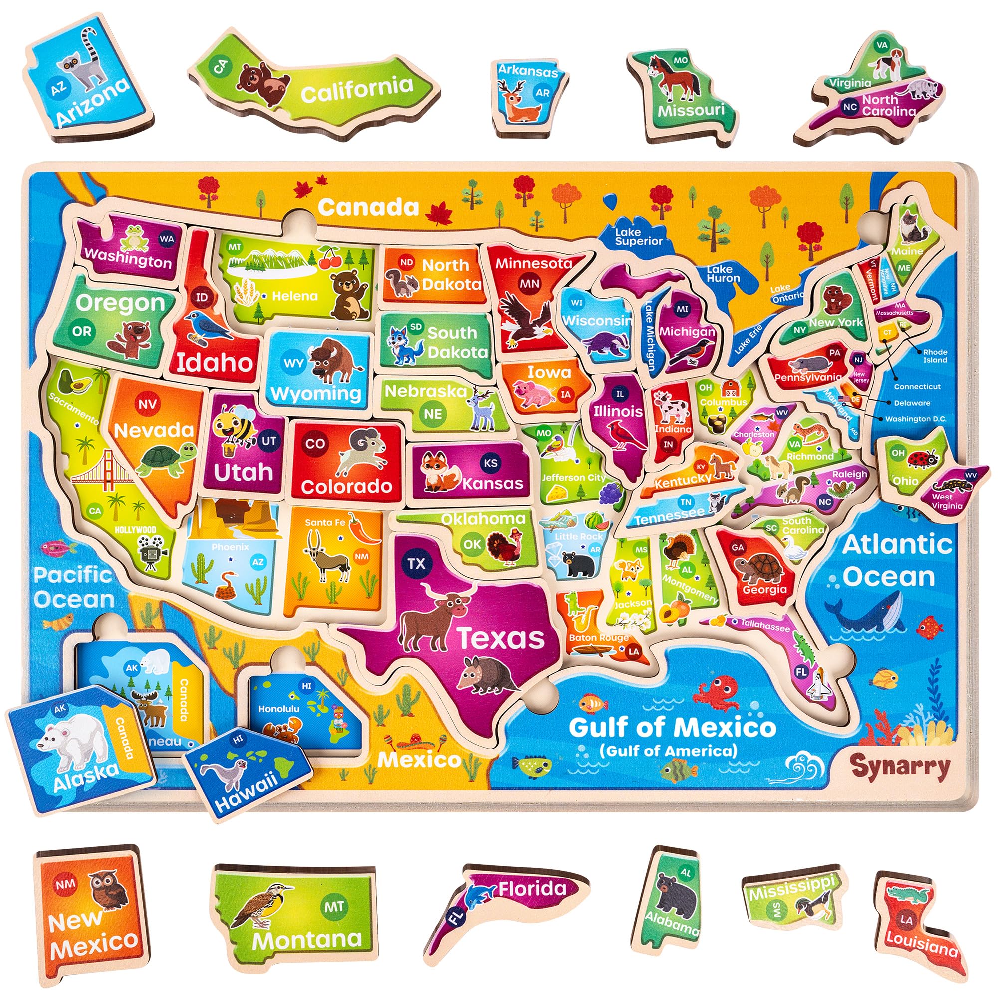 SYNARRY Educatinal Puzzles
